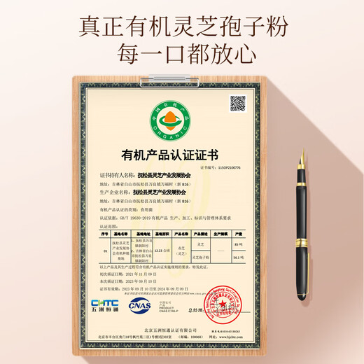 Banshan Agricultural Ganoderma Lucidum Spore Powder 250g Head Dao Changbbbbbbaishan Organic Ganoderma Lucidum Powder pour les aînés et les parents Health Tonic