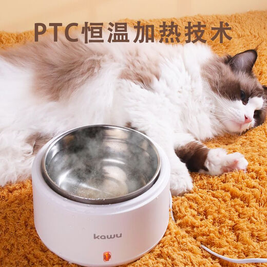 OIMG酸奶机猫咪喝水:家用小型宠物恒温饮水机:多功能加热DIY20w 恒温款 水泵 接水盘