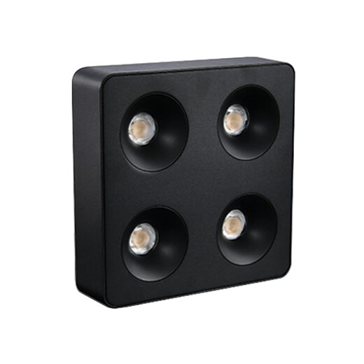 Renjuyi Lámpara de joya ultra delgada personalizada Sala de estar de cuatro cabezas de cuatro cabezas Anti-Glare Principal Lámpara cuadrada de la glándula de la glándula del frijol de doble cabeza blanca y negra 12w9898 Baja 4000K Light Laifude Fuelle de alimentación