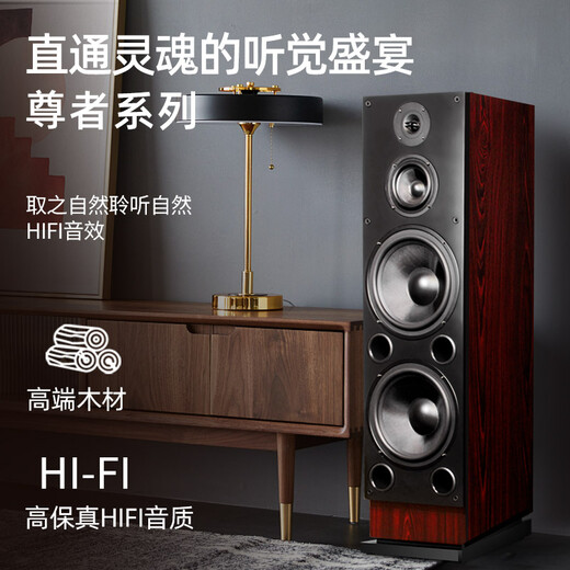 HAX163 Fieber-Grad-HiFi-Sprecher Dual 10-Zoll-Passive Haushaltsholz aus dem HiFi Haushalt Wohnzimmer High Fidelity Fieber-Grad-Audio-Kombination Set 163 Floor-Stufe + 698 Verstärker