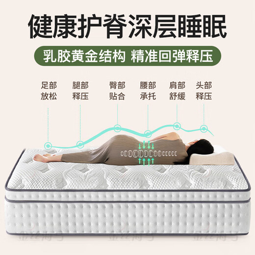 Golden wire seahorse mattress natural latex coconut brown Simmons independent spring mattress thickened hotel ten household brands can be customized C spine protection model thick 22 hard independent spring + 3E brown 1350*2000