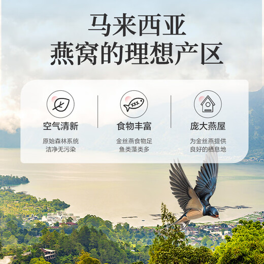 Lei Yun Shang Bird's Nest Dry Birthday's Nest Boad Box 100g 7 étoiles Bird Special Bird [Tasse du milieu] Nid d'oiseau enceinte
