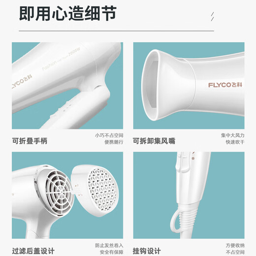 飞科吹风机家用2000W大功率恒温护发电吹风可折叠冷热风宿舍风筒 飞科6231+卷发梳普通装
