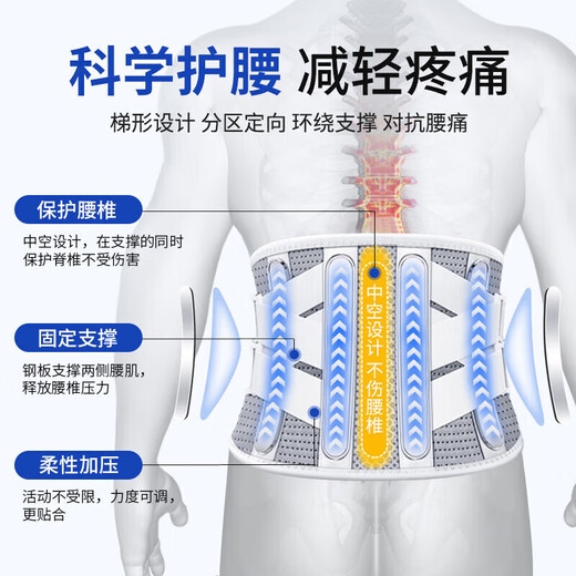Panapopo医用护腰带腰间盘突出腰肌劳损腰椎腰部支撑保暖术后男女士久坐L