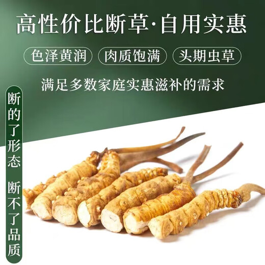 
(SF Express) Authentic Tibetan area Naqu break Cordyceps Cordyceps Cordyceps Big broken grass eats Cordyceps broken grass Authentic Tibetan Naqu whole meat festival 10 grams pack