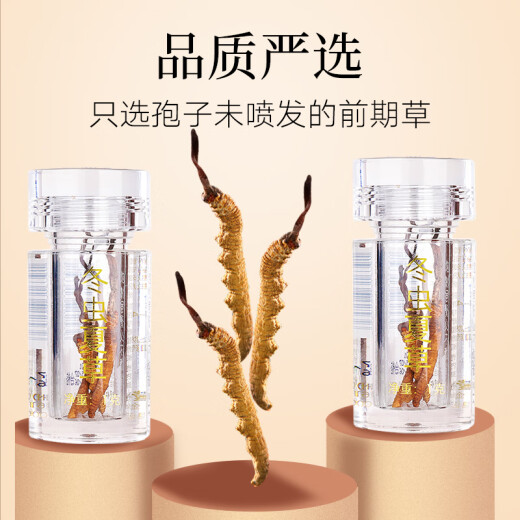 同仁堂品牌西藏野生冬虫夏草约4根/g2g约8根礼品高端送人实用送长辈礼盒