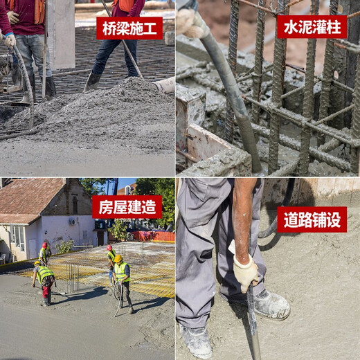 DUTRIEUX混凝土振动棒 手提式振动器小型水泥振捣棒单相电220V 3880W+(25型1米棒)