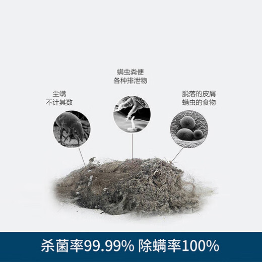 German technology wireless mite removal instrument artifact bed mite household handheld UV machine Shiyu (10% selection) white basic model