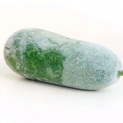 Hairy melon seeds are easy to sow in all seasons. Winter melon seeds are grown in fields and courtyards. Hairy melon vegetable seeds are easy to sow. Winter melon simple pack 70 capsules