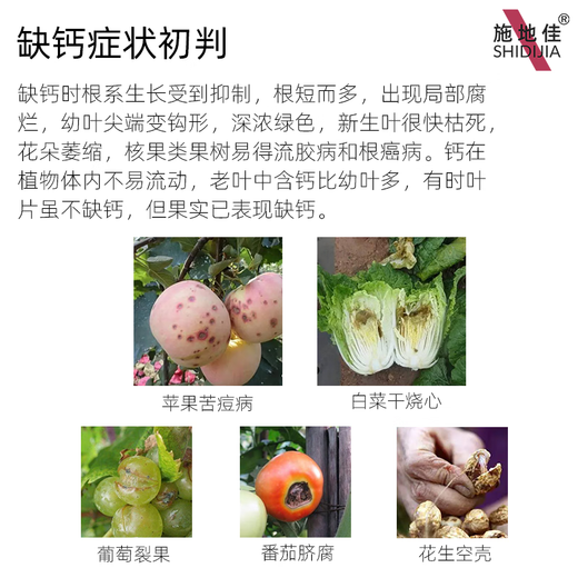 施地佳有机EDTA螯合钙肥中量元素水溶肥西瓜葡萄草莓苹果树蔬菜叶面肥料 EDTA螯合钙1kg*2袋