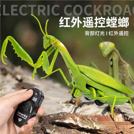 Zhio Fernbedienung Mantis Elektrische Simulation Spielzeug Douyin Streich Artefakt Kakerlaken Junge kann Spinnenkriechtiere bewegen [Klassische Version - Fernbedienungs -Ladykäfer] Rotes Modell 9922 Standard