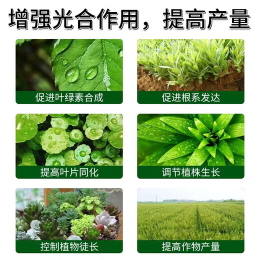 Chloropyramide paclobutrazol peanuts, soybeans, cotton, ginger, sweet potato, enlargement hormone, dwarfing and exuberance control agent Chloropyramide + paclobutrazol *100 sets
