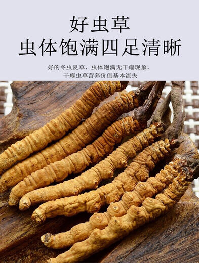 Eryabei Auténtico First Cordyceps Cordyceps Clean grandes Cordyceps frescos genuinos 2025 Cordyceps de productos secos seleccionados 50 grandes botellas acrílicas de alta gama