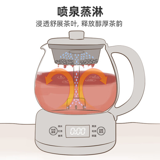 Bear tea kettle, health kettle, all-in-one tea kettle, mini tea steamer, 316L spray stainless steel kettle, black tea tea set, 1 liter ZCQ-F10N7