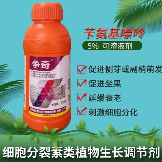 Zhengqi 5% benzylaminopurine accelerates flower bud differentiation and improves fruit set, seedless and firm cytokinin 500g/bottle