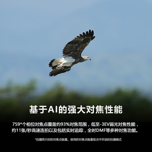 Sony (SONY) Alpha 6700 APS-C half-frame mirrorless camera AI smart chip, powerful focus A6700/a6700L /6700m A6700 disassembled body, charger + 128G + shoulder strap + screen + D11 official standard (excluding memory card)