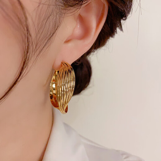Lan Huiming 925 Silver Needle New Trendy Exaggerated Twisted Earrings Korean Temperament Internet Celebrity Simple Fashion Earrings Girl Birthday Gift Twisted Earrings