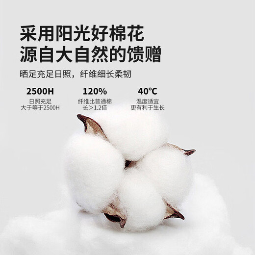 MUJI Class A Maternal and Baby bed four -piece cotton 100%whole cotton bed sheet pillow cover is covered with 200x230cm simplified