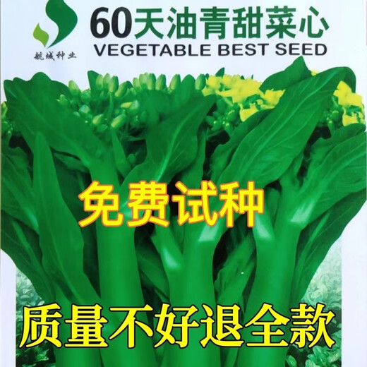 60-day oily green beetroot seeds, early maturing and high temperature resistant, spring and autumn four-season super beet moss seeds, farm vegetable seeds, 60-day oily green beetroot seeds, original packaging 2 packs