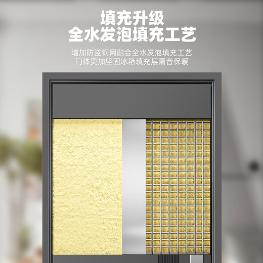 宇安盾防盗门甲级入户门家用安全门子母门静音进户门别墅门发泡填充定制 豪华机械锁 单门2250*1050