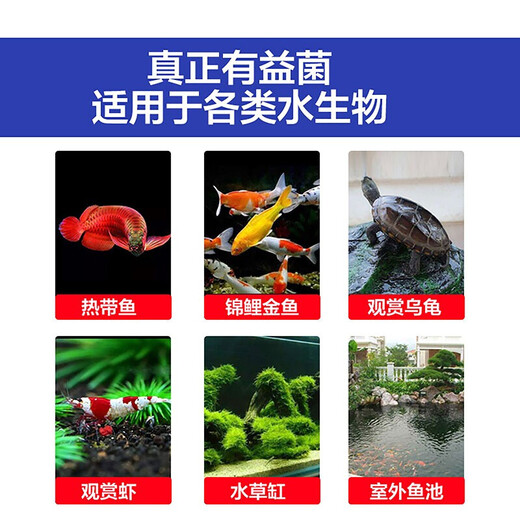 Crazy Stone [Nitrifying Bacteria + Stabilizer] Each 1000ML digestive bacteria fish tank stabilizer removes chlorine and improves water quality