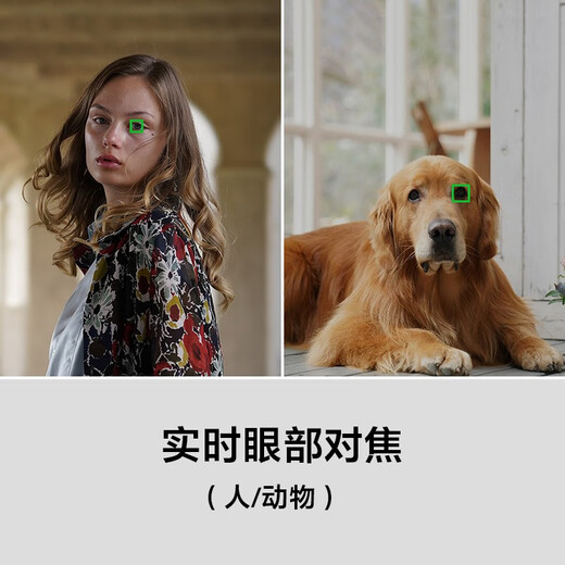 Sony (SONY) ILCE-7RM3A full-frame mirrorless digital camera about 42.4 million effective pixels 5-axis anti-shake a7r3a Tamron 28-200 (large aperture, one lens can conquer the world) live broadcast package