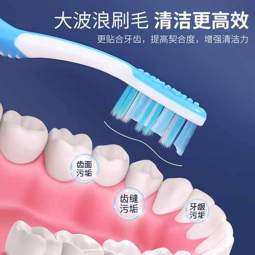 BRUSHING BEAR toothbrush with medium soft bristles, Sam's same style, removes tooth stains, tongue coating, cleans tobacco stains, tea stains, 4 pieces for adults, men and women