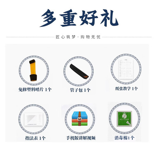 王家彪乌木催泪管子乐器初学者成人笛子管乐民族乐笛演奏民间 降B调 镀金箍管子+6