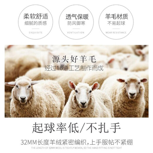 Woodpecker Wool Gloves Women's Touch Screen Winter Cute Cycling Plus Velvet Thickened Windproof Student Cold and Warm Driving Gloves