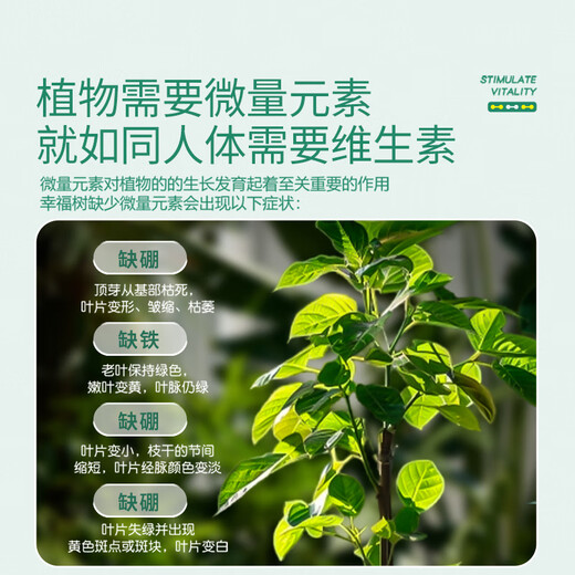 Stanley Happy Tree Special Fertilizer Nutrient Solution Resurrection Liquid Leaves Dry and Fallen Leaves First Aid Compound Fertilizer 500ml