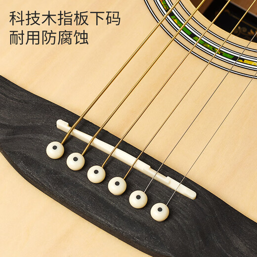 Acacia Bird Guitar Folk Guitar 40 Inch Beginners Beginner Guitar Matte Wood Color