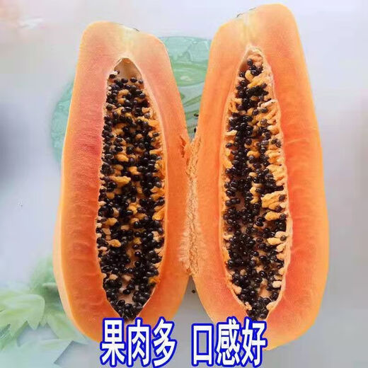 Hawaiian Golden Cream Papaya Seeds, suitable for both field and potted plants, high germination rate, 100 capsules/pack of fruit seeds, Hawaiian Cream Papaya Seeds, 20 capsules