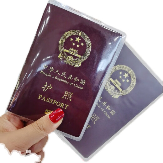 护照保护套两本护照套透明加厚防水通用旅行通行证壳证件套 护照磨砂款 （两本）