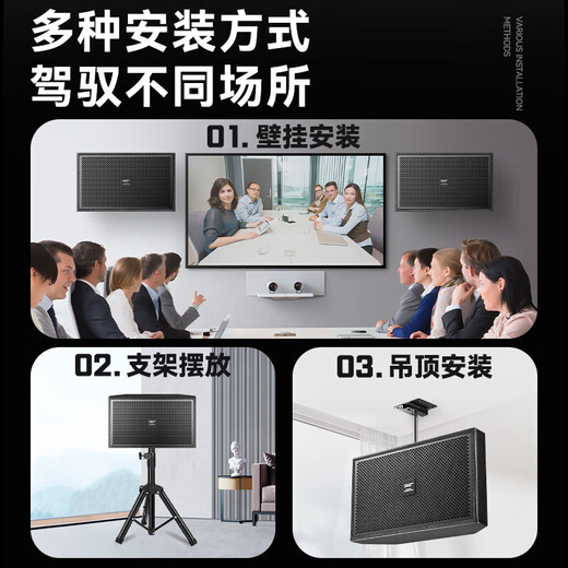 先科会议室音响设备全套家庭KTV演讲培训背景音乐套装 蓝牙功放壁挂音箱无线麦克风 W8-1 8吋超薄套装+双手持麦克风