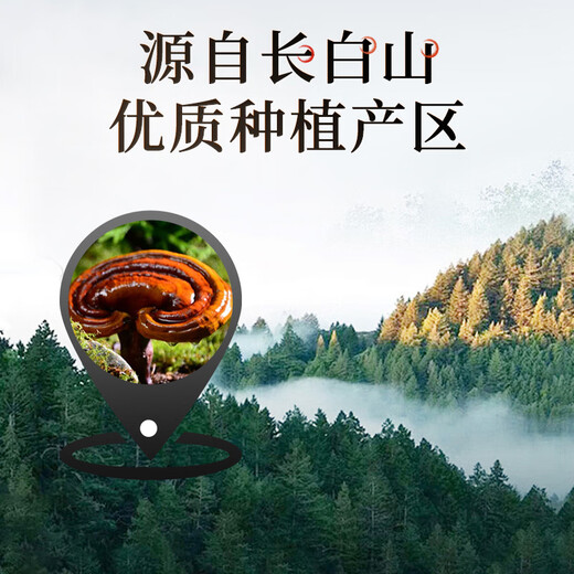 雷允上 九芝图有机破壁灵芝孢子粉48袋免疫力保健营养品术后恢复送长辈