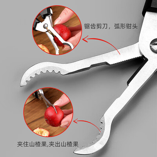 Qian Dong hawthorn corer artifact household pliers to remove seeds and corer homemade candied haws making material tools corer knife seller upgraded model-blue