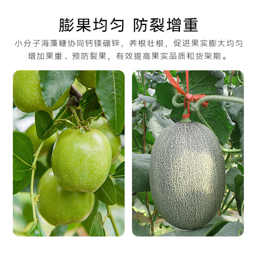 Dougalitol calcium magnesium boron zinc iron foliar fertilizer trace elements water-soluble fertilizer anti-cracking weight gain fruit trees and vegetables fertilization 1 kg * 1 bottle