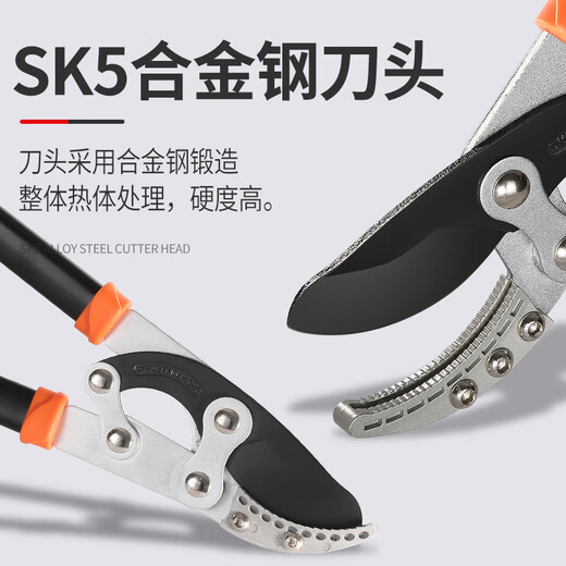 Zhengqi thick fruit tree pruning scissors, vigorous greening pruning pruning branches, garden special powerful scissors for flowering and tree branches, labor-saving, extra-long model comes with spare blade + folding saw