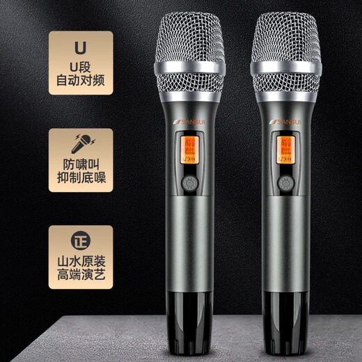 山水（SANSUI） FK-101专业10喇叭家用商用家庭美声k歌音响套装点歌机大功率卡拉OK音箱功放一体机影院 FK121卡包箱+功放+山水双话筒
