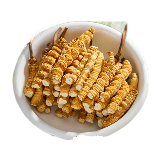 Área tibetana auténtica naqu Big Broken Grass Fresh Cordyceps sinensis Cordyceps de productos secos Auténticos Cordyceps sinensis Tíbet auténtico Naqu Stramos de carne entera de alta altitud 55 gramos