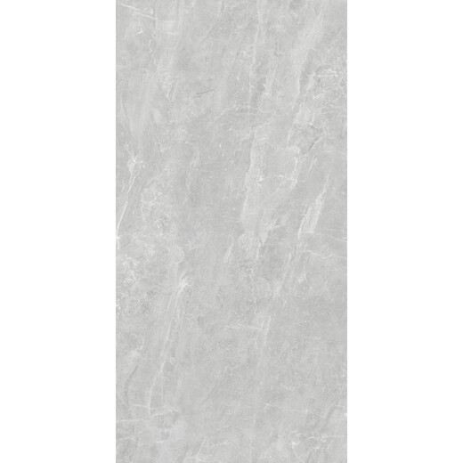 Azulejos de cerámica Marco Polo Micro Cemento Modern 12800 15338 15332 Micro Cemento Jiansudandi Modern Micro Cement CH12806 900*1800
