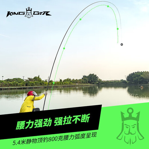 本汀（BenTing） King-BTR718天弧斩月刀钓鱼竿超轻超硬综合台钓鱼竿手竿碳素19调 3.6m 718FL （大综合）28调 KING-BTR718