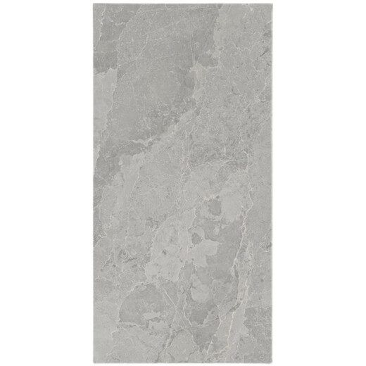XMSJ瓷砖CH12740 12748 12040R10 12668 12650 12290 12688AS CH12049R10 600mmx1200mm