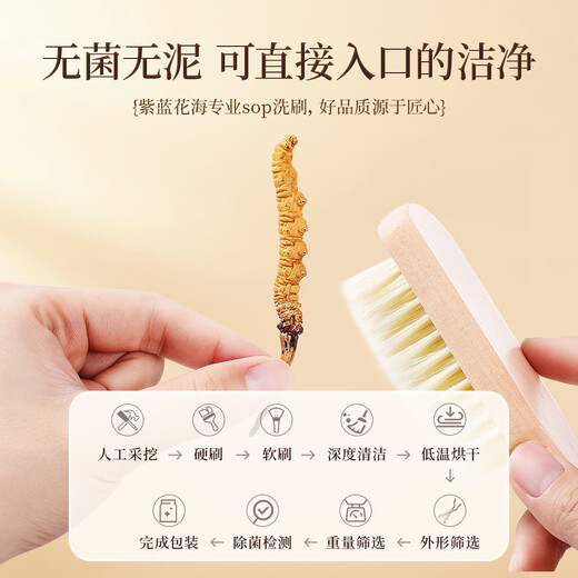 紫蓝花海冬虫夏草 3根/g 20克 约60根新干虫草礼盒营养品【健康礼盒】