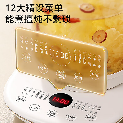 LOTOR Health Pot Tea Kettle Constant Temperature Kettle Smart Stew Integrated Electric Kettle Office Insulation Flower Tea Kettle Government Subsidy 316 Heating Plate H20 Basic Model