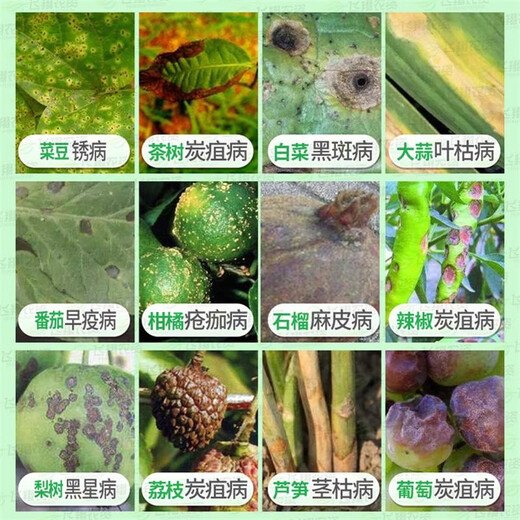 先正达世高10%苯醚甲环唑葡萄番茄白粉病叶斑病黑星病农药杀菌剂  10g
