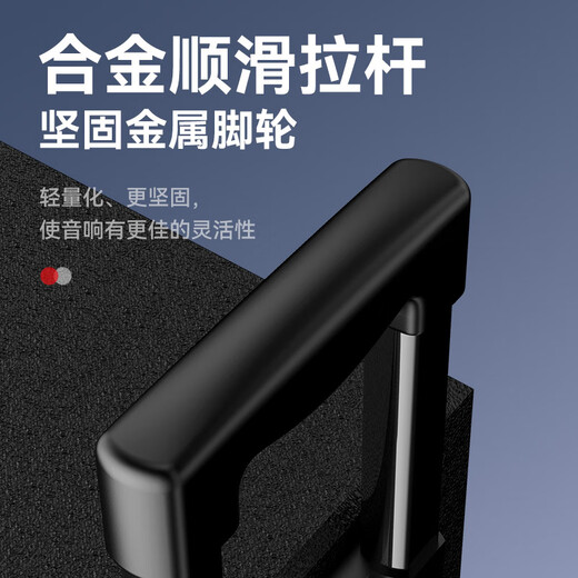 惠威（HiVi）户外广场舞K歌音响 12吋唱歌大功率拉杆移动音箱 麦克风功放一体机乐器演出低音炮双麦蓝牙 MA12