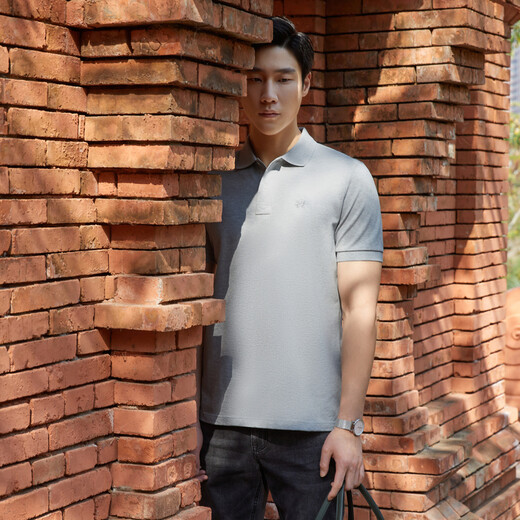 YOUNGOR short-sleeved POLO shirt men's lapel chest embroidered cotton elastic fabric POLO shirt new product gray 2XL