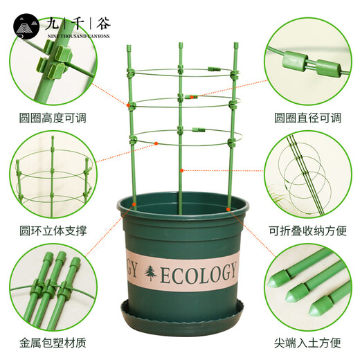 九千谷植物攀爬架包钢管花架蔷薇月季葡萄固定支撑防倒固定架60cm4634