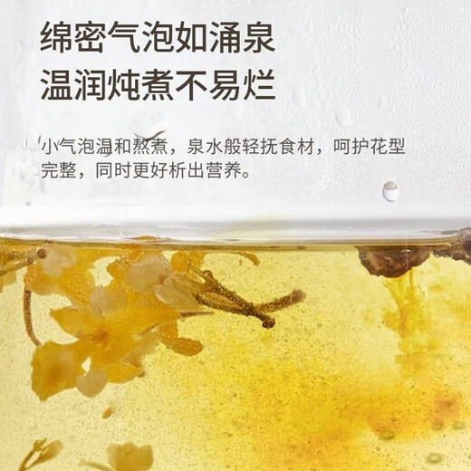 Joyoung health kettle 2L stew kettle, boiling kettle overflow prevention, ceramic coating to prevent smear, soft sound and noise reduction kettle, smart stewing, glass filter, government subsidy, with glass tea blue 20WY3J 2L